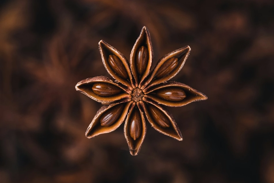 Semillas de anís en primer plano, representando el uso tradicional del anís para la digestión.