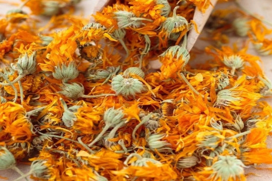 Flores de caléndula en primer plano, representando el uso tradicional de la caléndula para el cuidado de la piel.