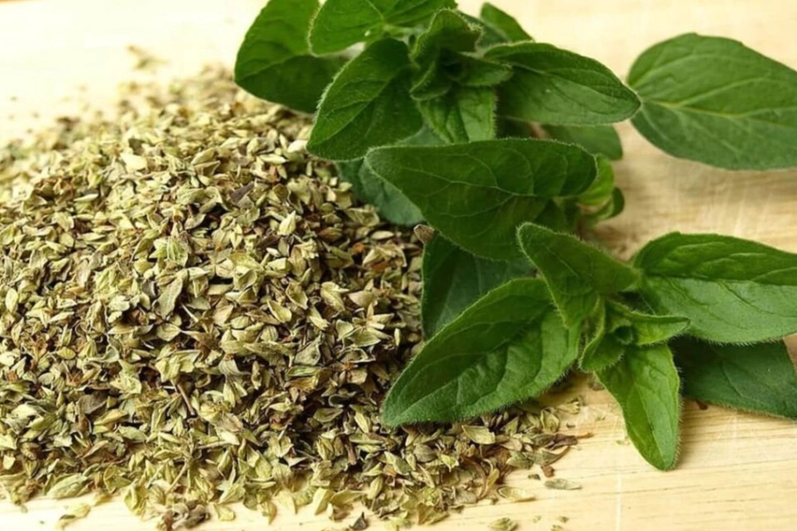 Hojas y flores de orégano en entorno natural, representando el uso tradicional del orégano para la digestión y la respiración.