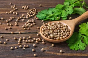 Hojas y semillas de cilantro, representando el uso tradicional del cilantro para la digestión y el bienestar cotidiano.