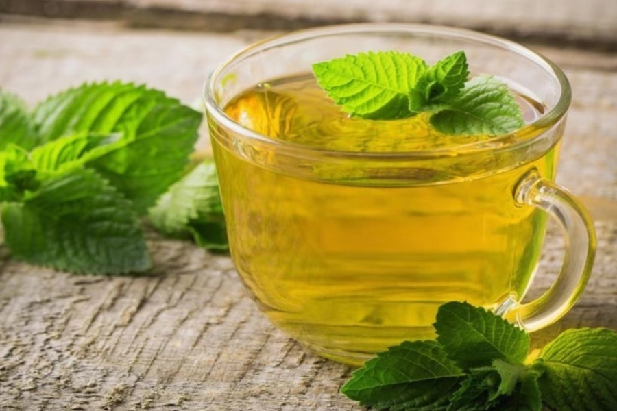 Hojas frescas de hierbabuena en entorno natural, representando el uso tradicional de la hierbabuena para la digestión y el bienestar diario.