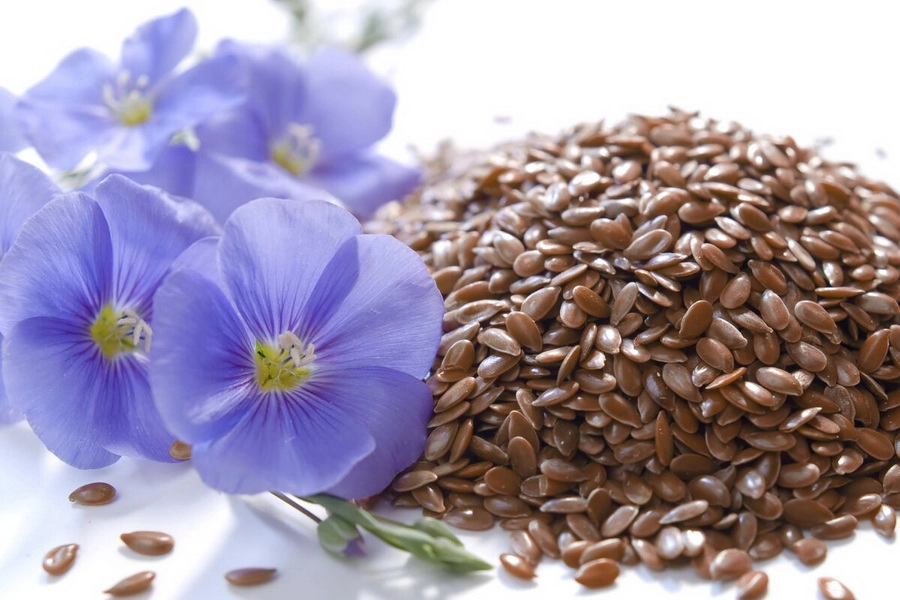 Semillas de linaza enteras e hidratadas, representando el uso tradicional de la linaza para el bienestar digestivo y cotidiano.