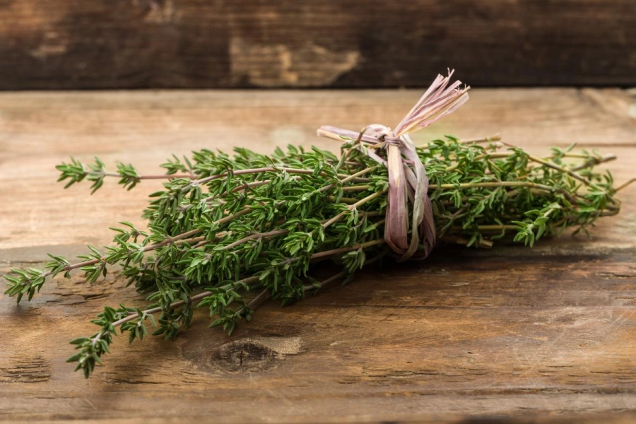 Planta de tomillo con hojas verdes aromáticas, representando el uso tradicional del tomillo para la respiración y la digestión.